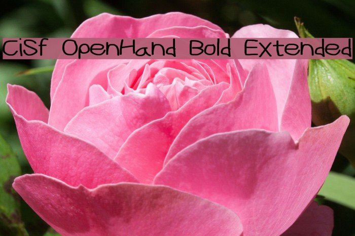 CiSf OpenHand Bold Extended Font examples