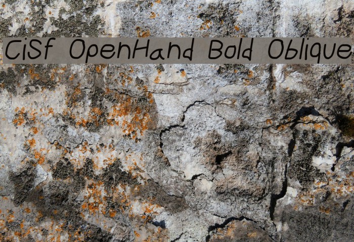 CiSf OpenHand Bold Oblique Font examples