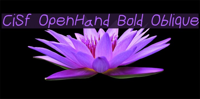 CiSf OpenHand Bold Oblique Font examples