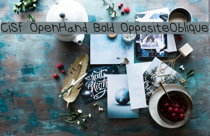 CiSf OpenHand Bold OppositeOblique Font examples