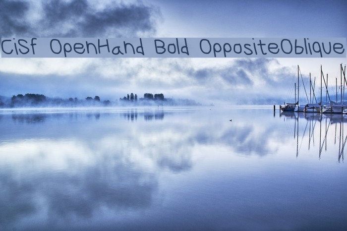 CiSf OpenHand Bold OppositeOblique Font examples