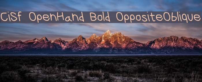 CiSf OpenHand Bold OppositeOblique Font examples