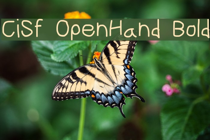 CiSf OpenHand Bold Font examples