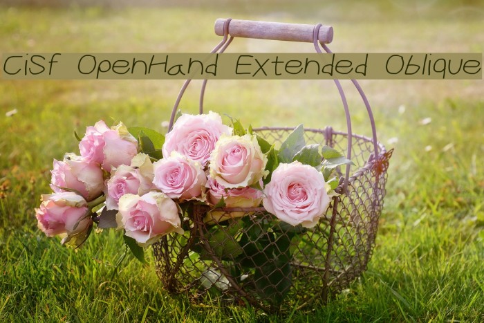 CiSf OpenHand Extended Oblique Font examples
