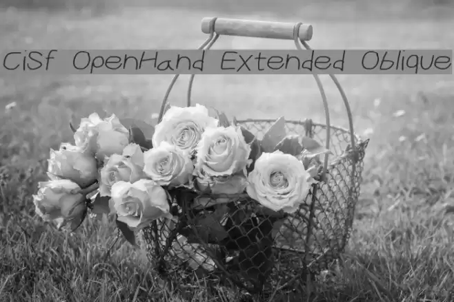 CiSf OpenHand Extended Oblique フォント examples