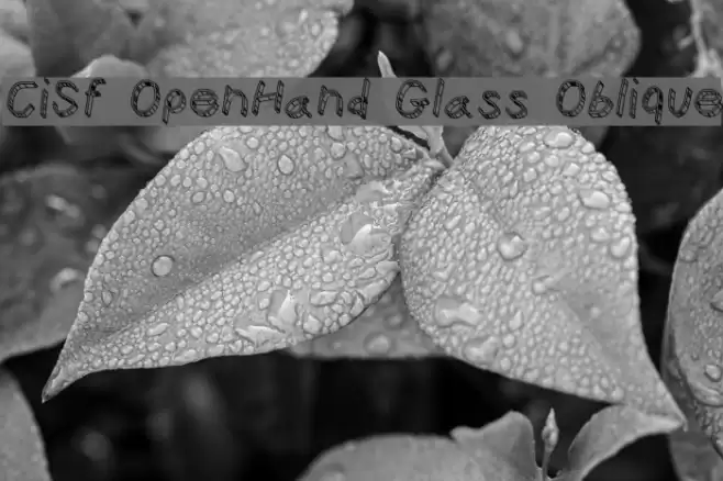 CiSf OpenHand Glass Oblique Font examples