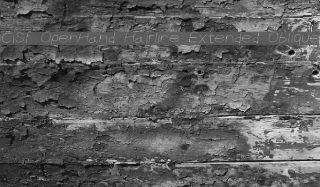 CiSf OpenHand Hairline Extended Oblique Font examples