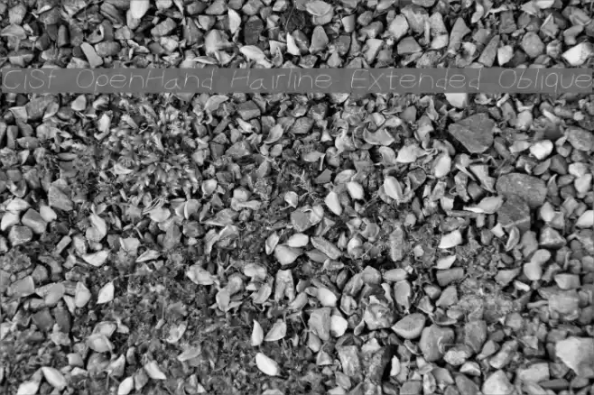 CiSf OpenHand Hairline Extended Oblique Font examples