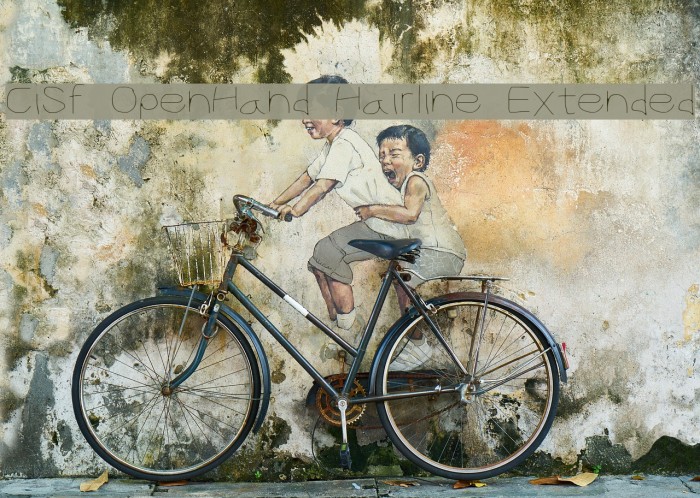 CiSf OpenHand Hairline Extended Example 1