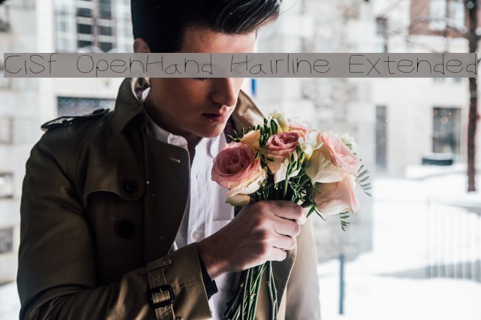 CiSf OpenHand Hairline Extended Example 2