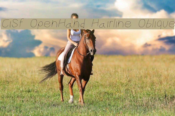 CiSf OpenHand Hairline Oblique Font examples