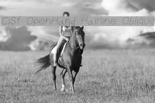 CiSf OpenHand Hairline Oblique Font examples