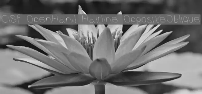 CiSf OpenHand Hairline OppositeOblique Font examples