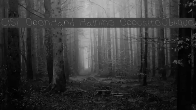 CiSf OpenHand Hairline OppositeOblique Font examples