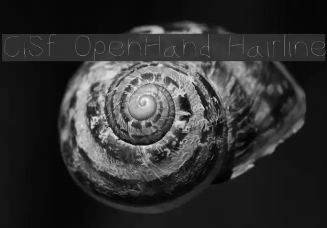 CiSf OpenHand Hairline Font examples