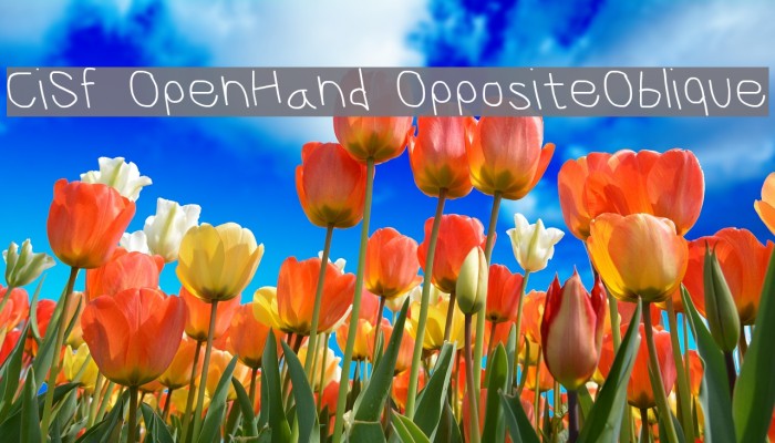 CiSf OpenHand OppositeOblique Font examples