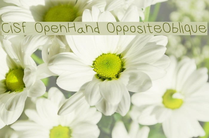 CiSf OpenHand OppositeOblique Font examples