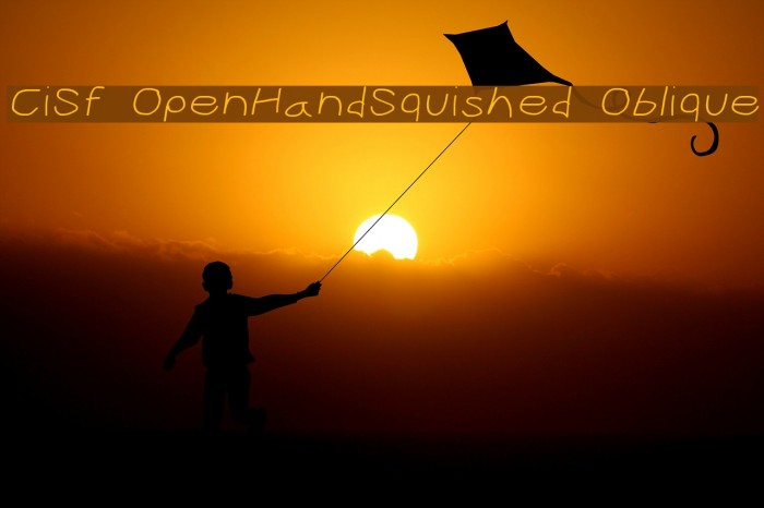 CiSf OpenHandSquished Oblique Font examples