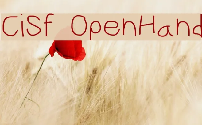 CiSf OpenHand Example 1
