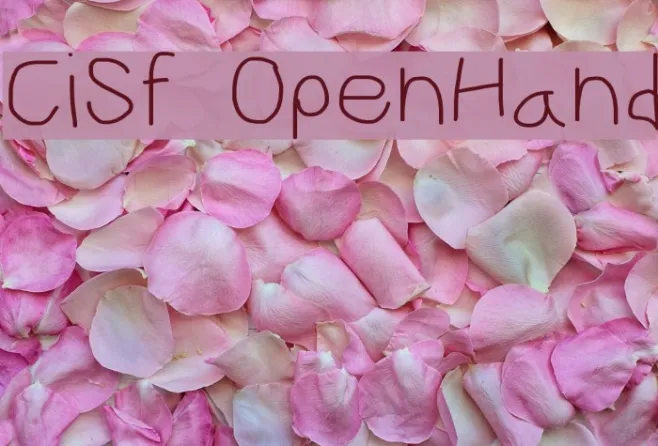 CiSf OpenHand Example 2