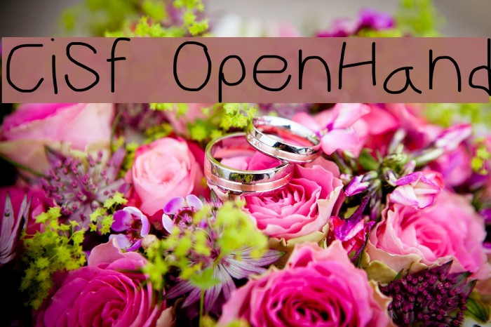 CiSf OpenHand Font examples