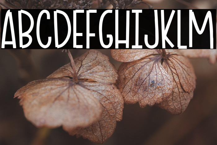 Ciao Adios Example 1