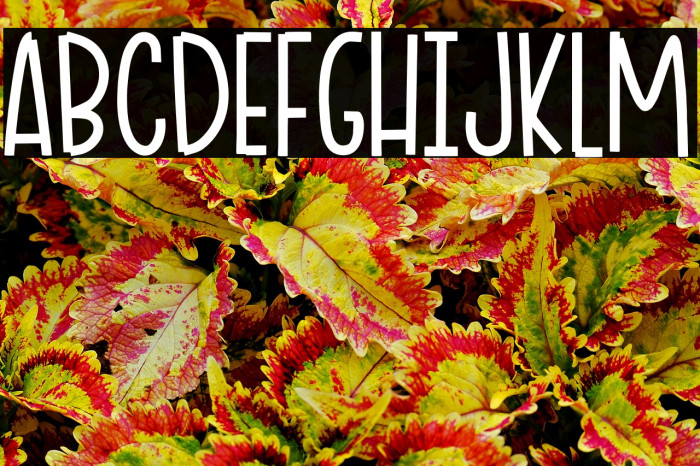 Ciao Adios Example 1