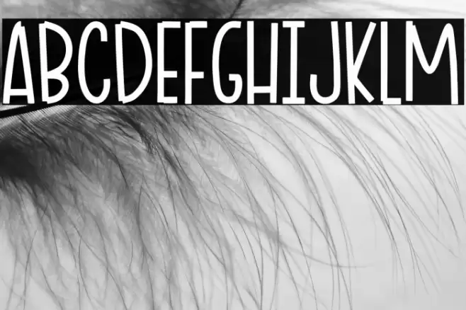 Ciao Adios Font examples