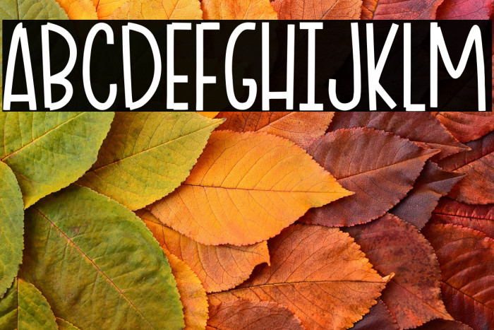 Ciao Adios Example 3