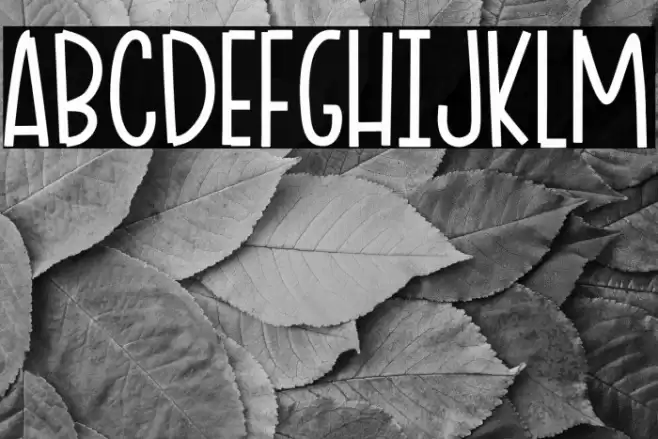 Ciao Adios Font examples