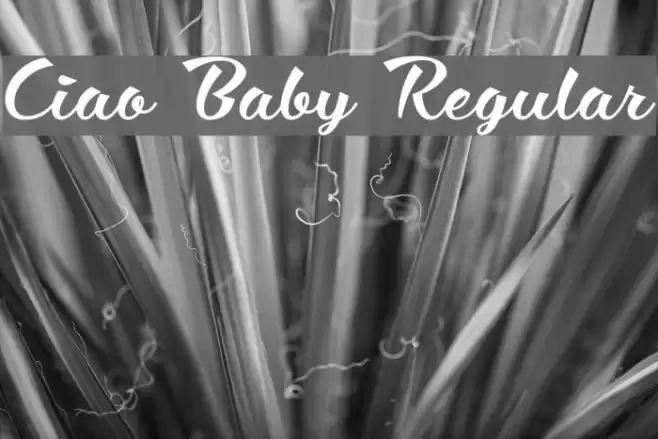 Ciao Baby Regular Font examples
