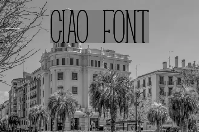 Ciao Polices examples