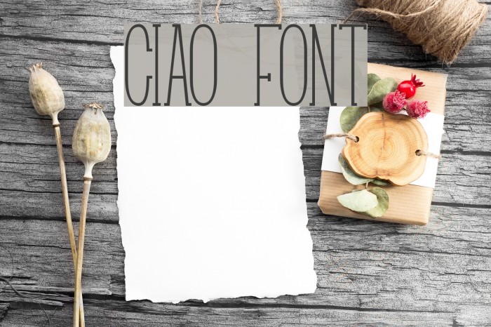 Ciao Font examples