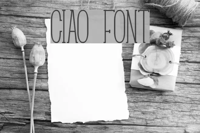 Ciao Polices examples