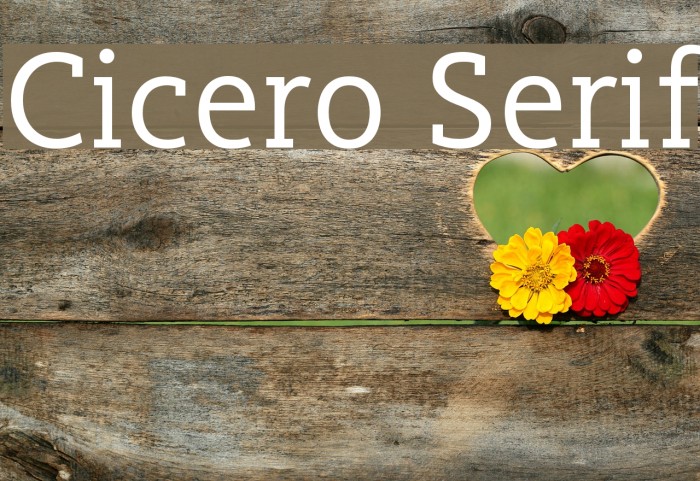 Cicero Serif Font examples