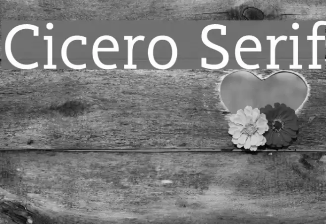 Cicero Serif Font examples
