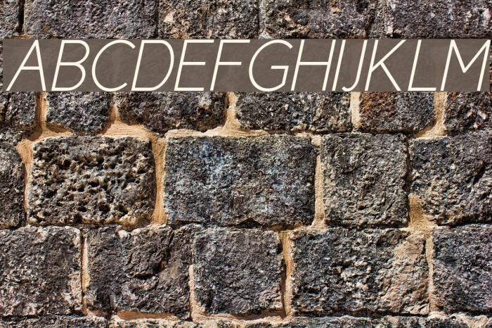 Cicle Fina Italic Font examples