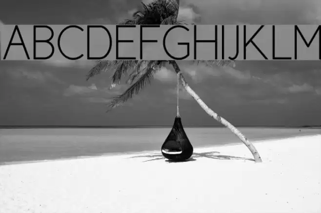 Cicle Fina Font examples