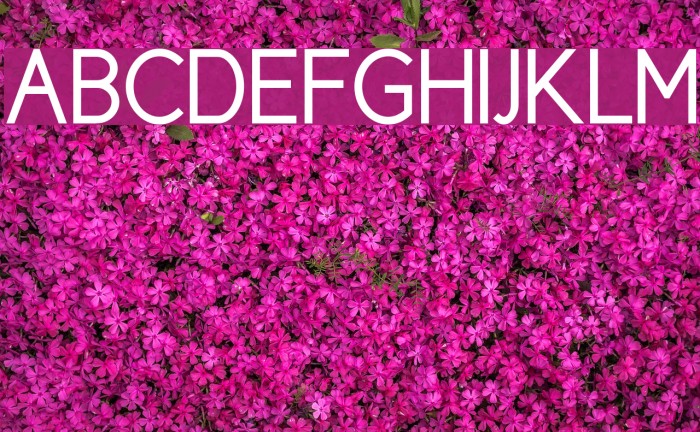 Cicle Gordita Font examples