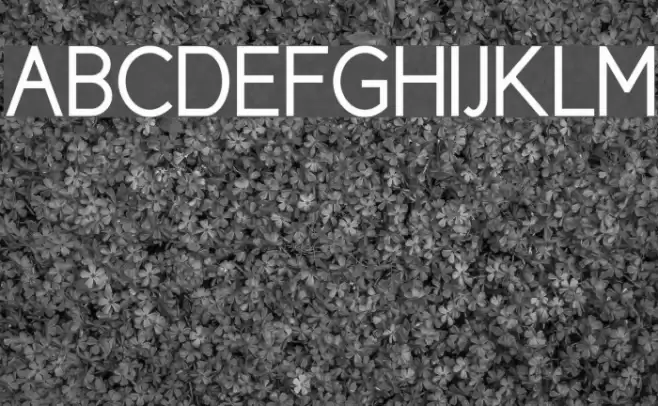 Cicle Gordita Font examples