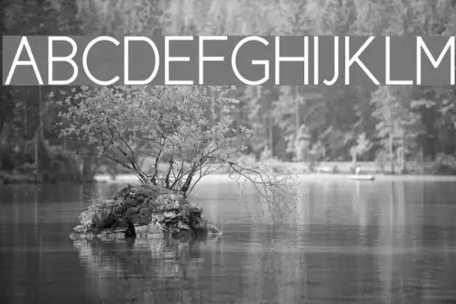 Cicle Semi Font examples