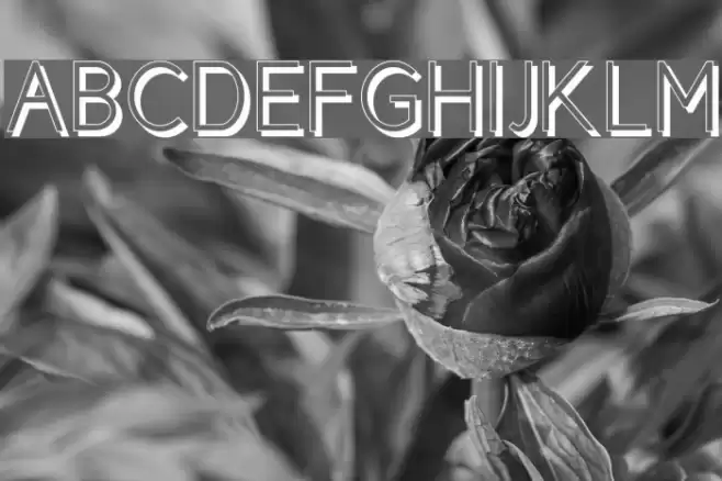 Cicle Shadow Font examples