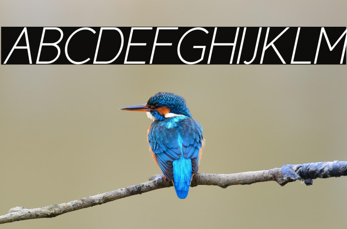 CicleFinaItalic Example 1