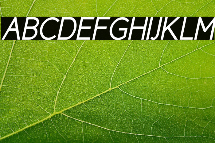 CicleGorditaItalic Example 3