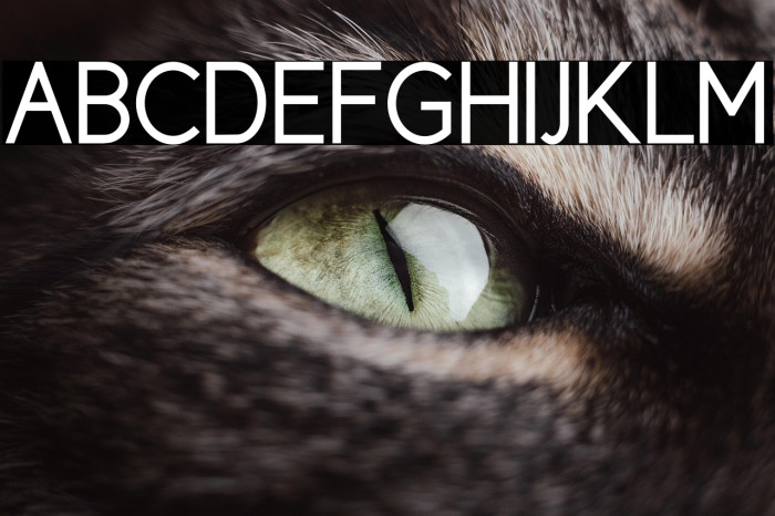 CicleGordita Example 3