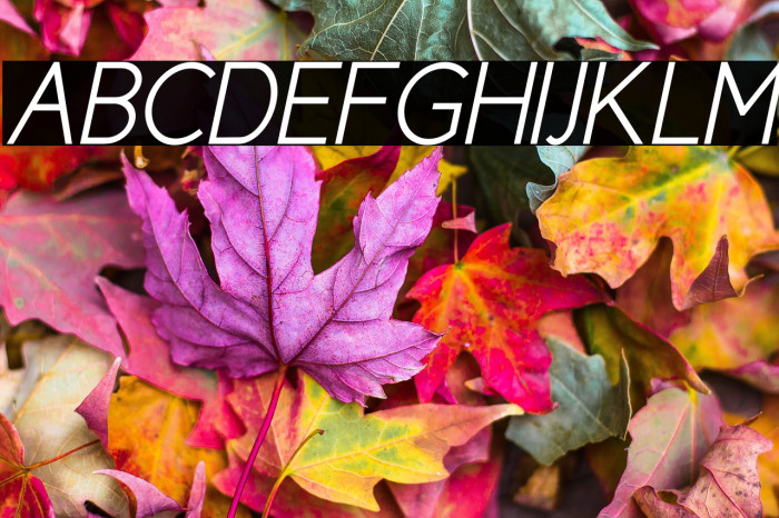 CicleSemiItalic Example 2