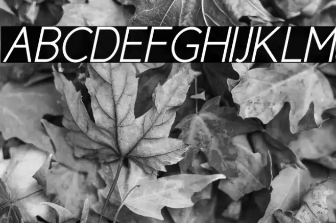 CicleSemiItalic Font examples