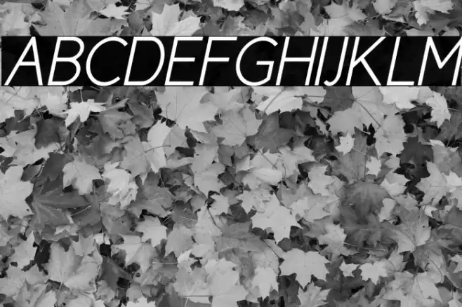 CicleSemiItalic Font examples