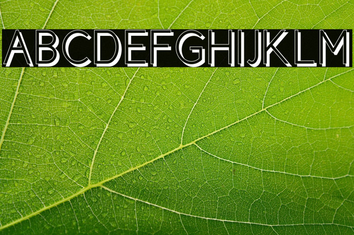 CicleShadow Example 2