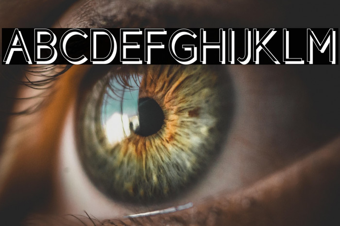 CicleShadow Example 3